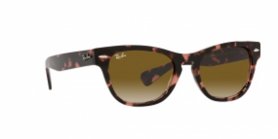 Ray-Ban RB2201 133451