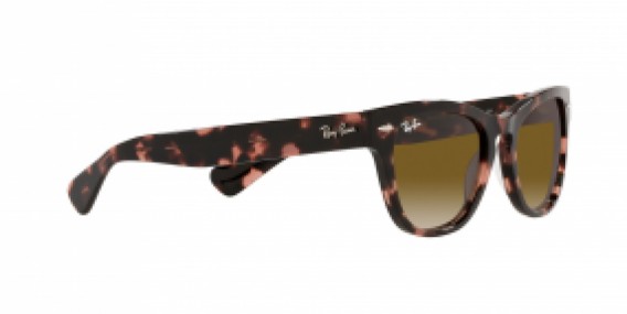 Ray-Ban RB2201 133451