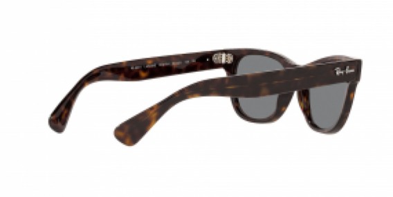 Ray-Ban RB2201 902/B1