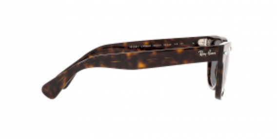 Ray-Ban RB2201 902/B1