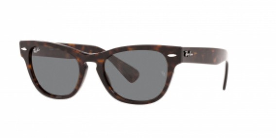 Ray-Ban RB2201 902/B1