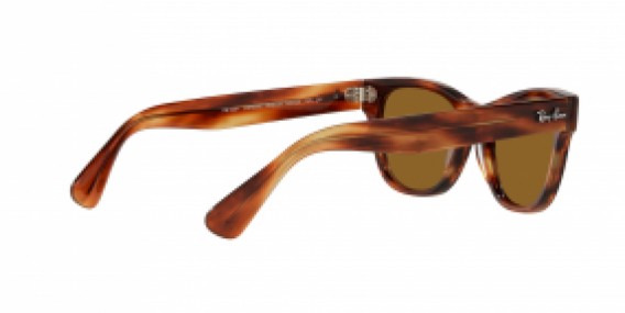 Ray-Ban RB2201 954/33