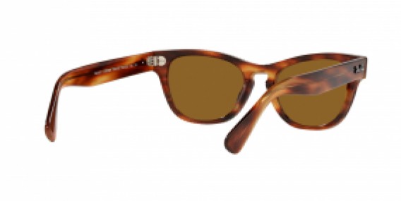 Ray-Ban RB2201 954/33