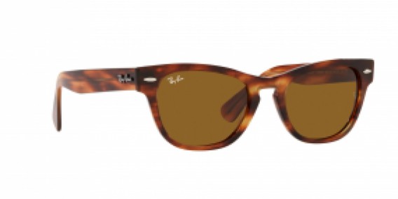 Ray-Ban RB2201 954/33