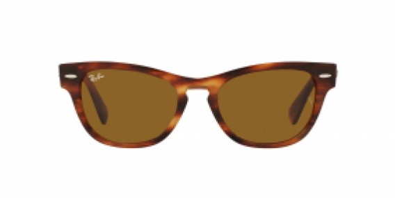 Ray-Ban RB2201 954/33