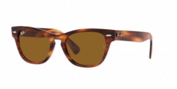 Ray-Ban RB2201 954/33