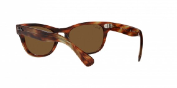 Ray-Ban RB2201 954/57