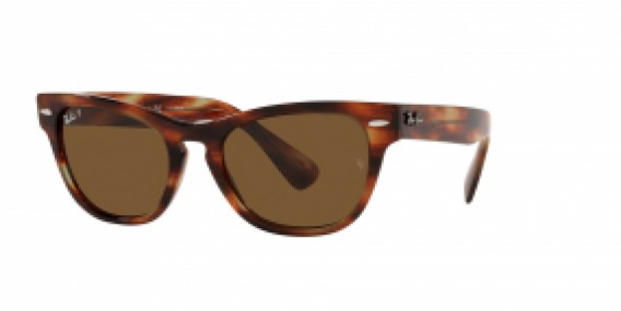 Ray-Ban RB2201 954/57