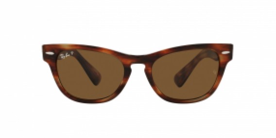 Ray-Ban RB2201 954/57