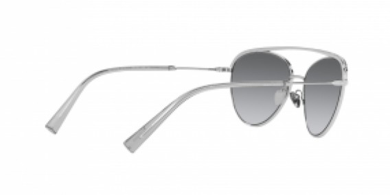 Giorgio Armani AR6127B 301511