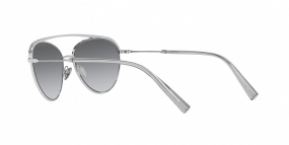 Giorgio Armani AR6127B 301511