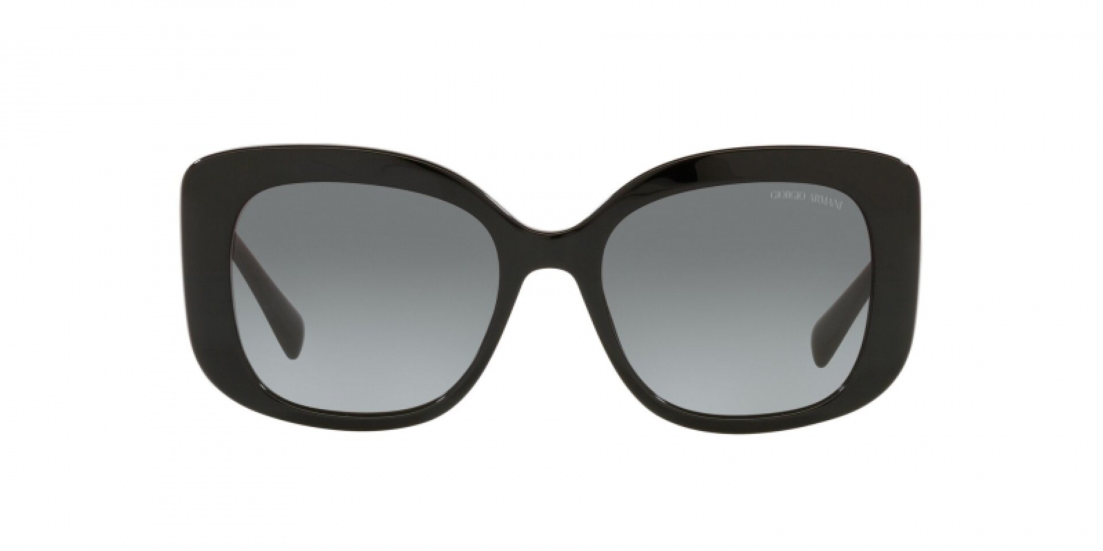 Giorgio Armani AR8150 500111