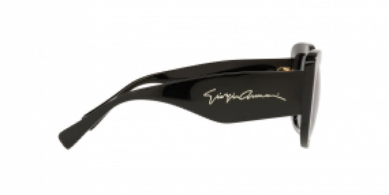 Giorgio Armani AR8150 500111