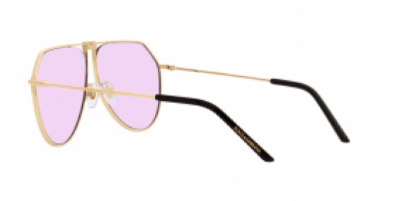 Dolce & Gabbana DG2248 02/N0