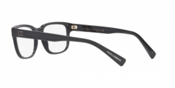 Dolce & Gabbana DG3341 3090