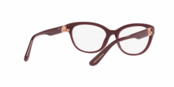 Dolce & Gabbana DG3342 3091