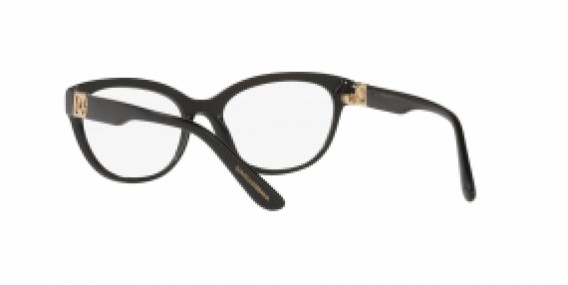 Dolce & Gabbana DG3342 501