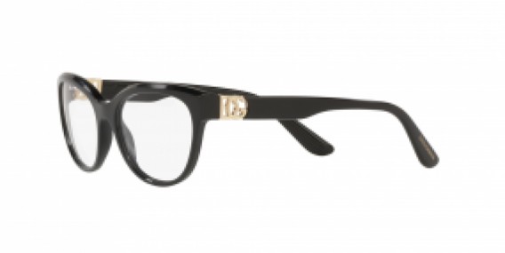 Dolce & Gabbana DG3342 501