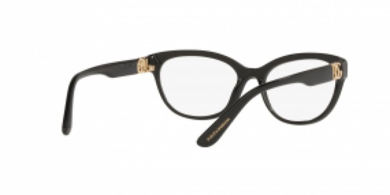 Dolce & Gabbana DG3342 501