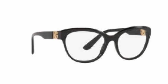 Dolce & Gabbana DG3342 501