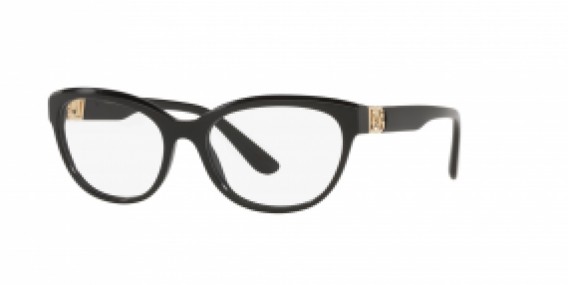 Dolce & Gabbana DG3342 501