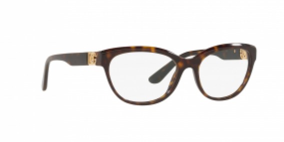 Dolce & Gabbana DG3342 502