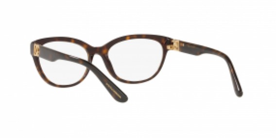 Dolce & Gabbana DG3342 502