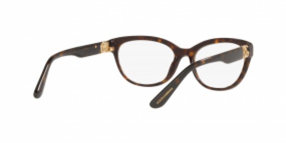 Dolce & Gabbana DG3342 502