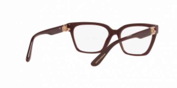 Dolce & Gabbana DG3343 3091