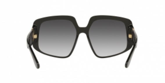 Dolce & Gabbana DG4386 501/8G