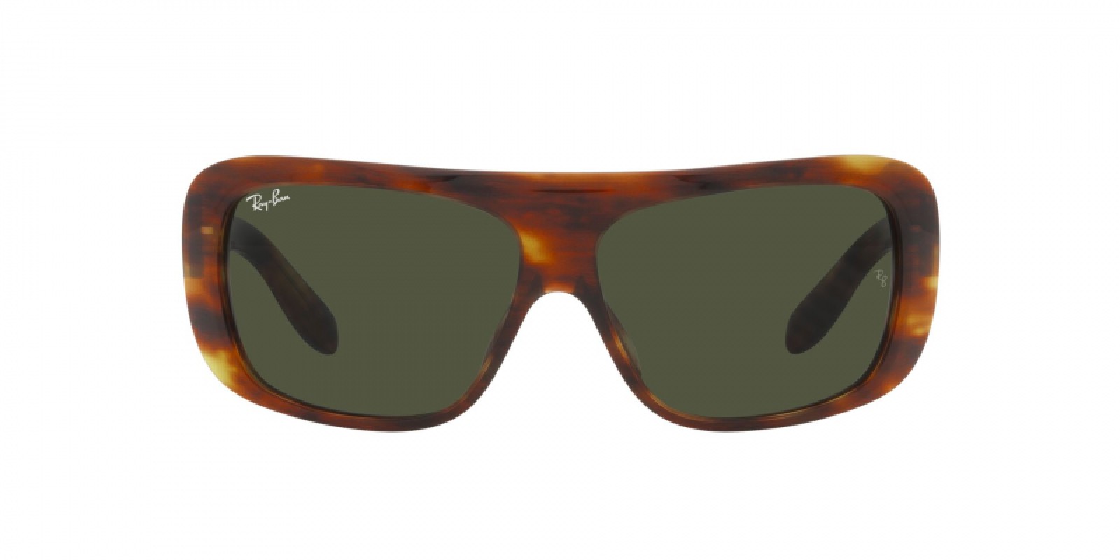 Ray-Ban RB2196 954/31