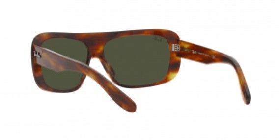 Ray-Ban RB2196 954/31