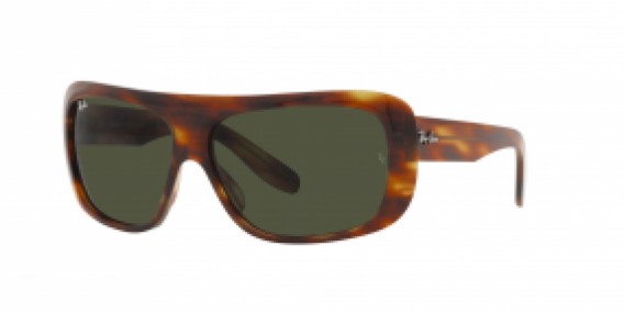 Ray-Ban RB2196 954/31