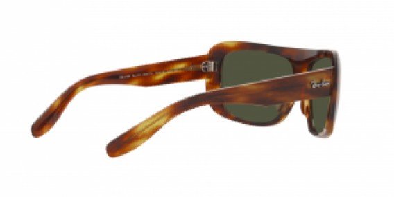 Ray-Ban RB2196 954/31