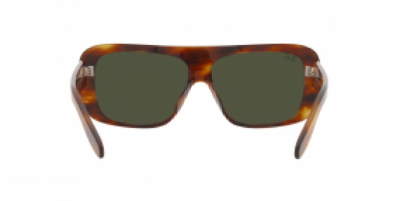 Ray-Ban RB2196 954/31