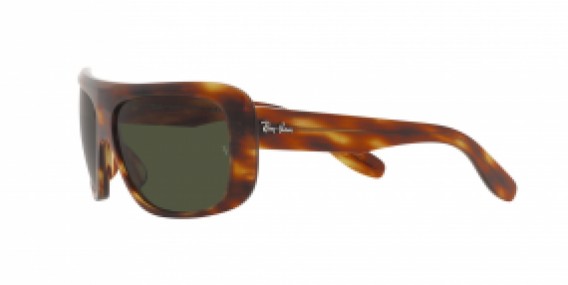 Ray-Ban RB2196 954/31