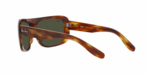 Ray-Ban RB2196 954/31