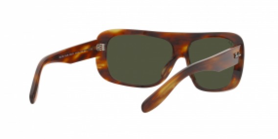 Ray-Ban RB2196 954/31