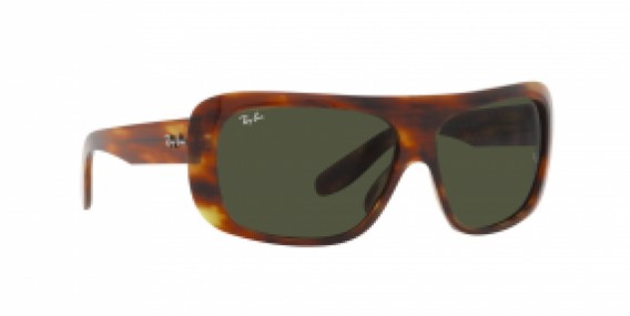 Ray-Ban RB2196 954/31