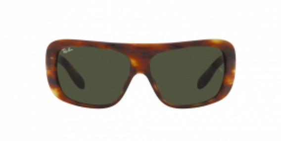 Ray-Ban RB2196 954/31