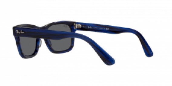 Ray-Ban RB2283 1339B1