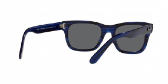 Ray-Ban RB2283 1339B1