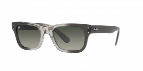 Ray-Ban RB2283 134071