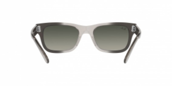 Ray-Ban RB2283 134071