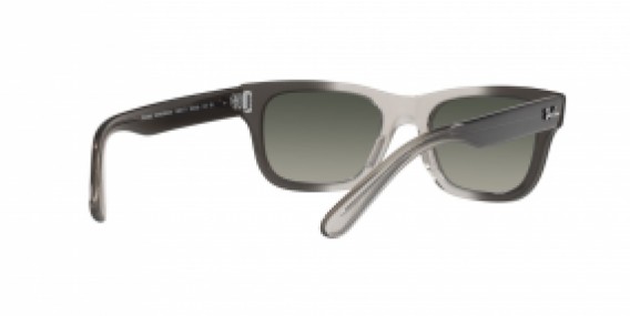 Ray-Ban RB2283 134071