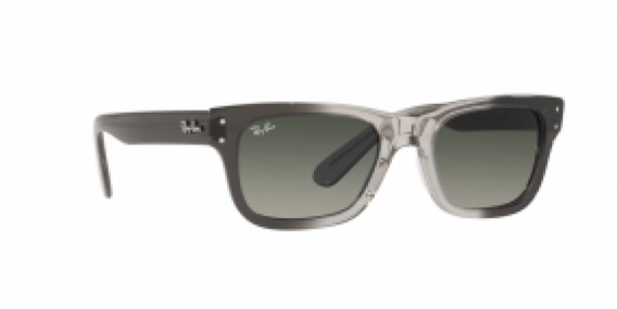 Ray-Ban RB2283 134071