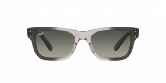 Ray-Ban RB2283 134071