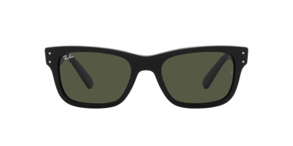 Ray-Ban RB2283 901/31