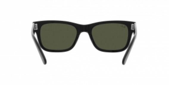 Ray-Ban RB2283 901/31