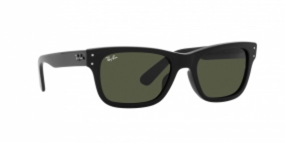 Ray-Ban RB2283 901/31